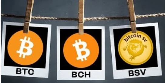 比特币SV与比特币的本质区别是什么？2025年竞争格局如何重塑？‌