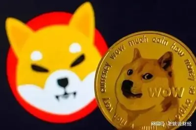 模因币投机热潮：SHIB暴涨背后的风险与机遇